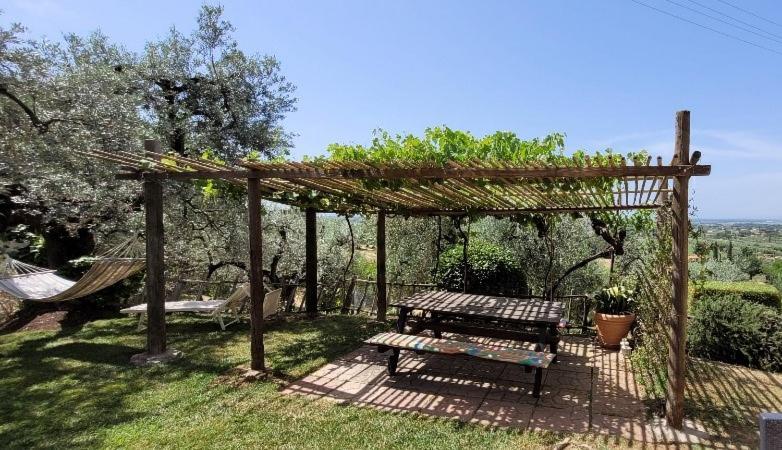 Agriturismo Villa Carducci Castagneto Carducci Exterior photo